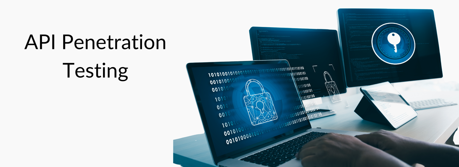 API Penetration Testing API Penetration Testing