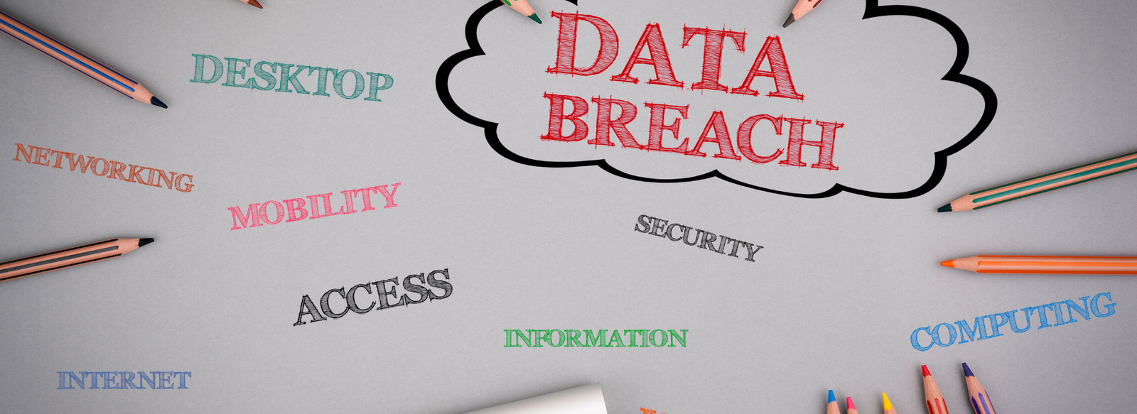 How to Respond to a Data Breach